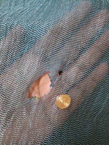 Embroidered super net saree with red border