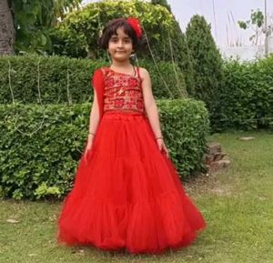 Red Net Lehnga Choli