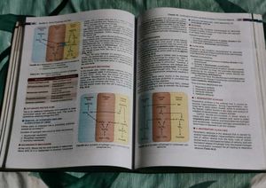 Physiology textbook for Nursing and Dental Student
