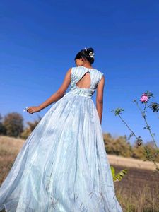 Cindrella Inspired Gown 💫