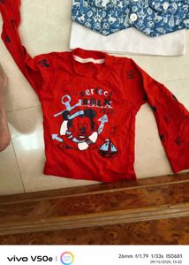 Combo Of 5 Branded Tshirt
