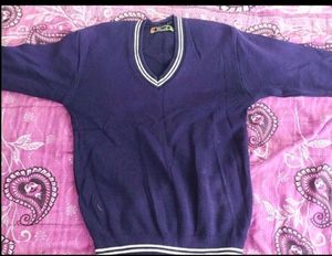 Purple Colour Sweatshirt