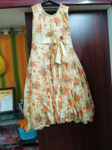 Beautiful Net  Dress With Bow Niceee