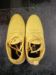 Shoe