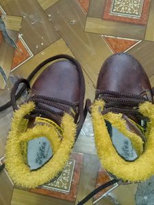 Brown Shoes