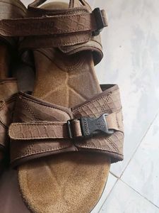 Woodland Sandal Uk11