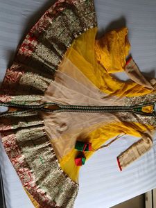 Ethnic Gowns