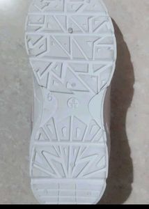 Fancy Shoe