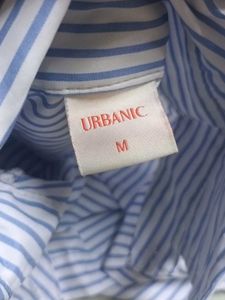 Striped Button-Down Shirt