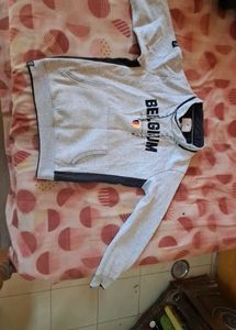 Sweater/Sweatshirt For Men