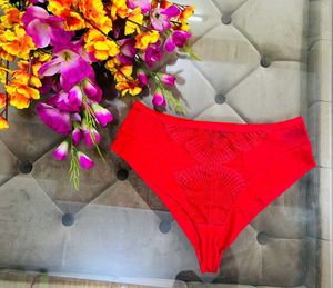 Sexy Red Colour Fancy Xxl Size Net Penty