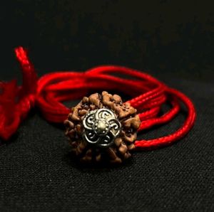 Panch Mukhi Rudraksha Pendant Necklace