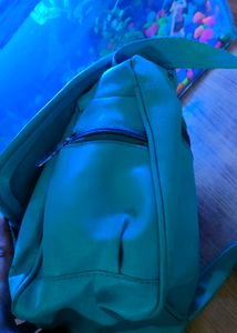 Sea Green Carry Bag