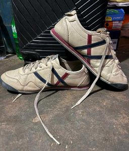 Combo Of Shoes