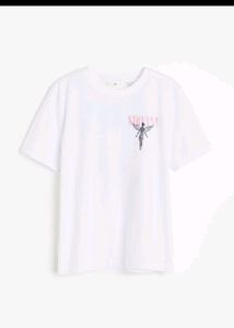 Nirvana Tshirt With Back Graphicss