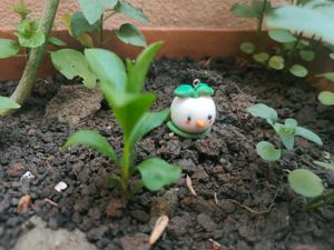 Cute Sprouting Duckkkkkkk