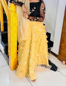 Elegant Lehenga Choli Set