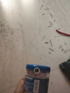Johnson Ear Buds
