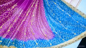 Gorgeous Pink & Blue Embellished Saree