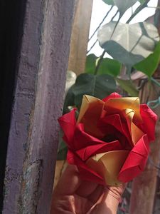 Paper Rose 🌹