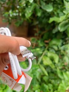 Cable