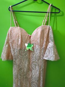 Sexy Nude Bodycorn Lace Dress (New)