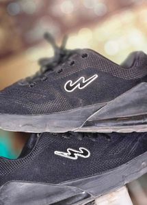 Campus Shoes