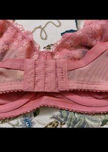 New Enamor Bra Full Supported Nd Underwired