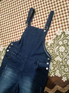 Women Dangree Dress