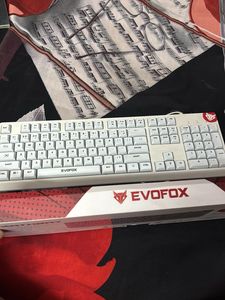 EVOFox Mechanical Keyboard
