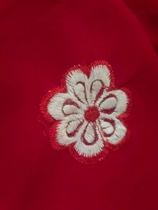 Red Embroidered Saree