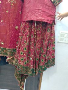 Embroidered Lehenga Choli