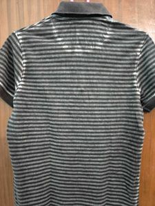 Turtle Polo T-Shirt