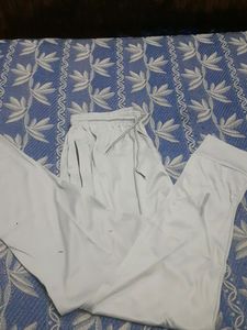 Grey Trouser For Men XXL