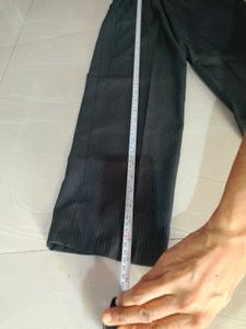 Formal Pant