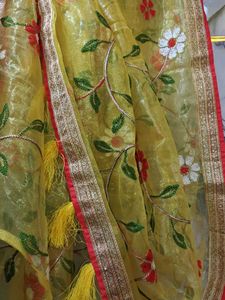 Brand New Embroidery Organza Saree For Kids