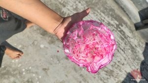 Home Decor Showpiece