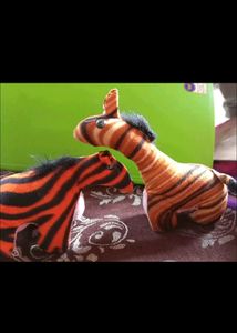 Two Hyna Teddy