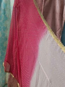 Elegant Ethnic gown with dupatta
