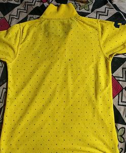 Woodland Yellow 💛 polo T-shirt For Men
