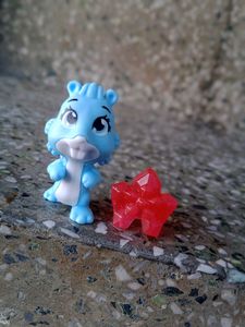 Squirrel🎀miniature