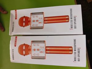 Wireless Microphone Karaoke