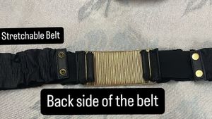 Gold Panel High Waist Belt