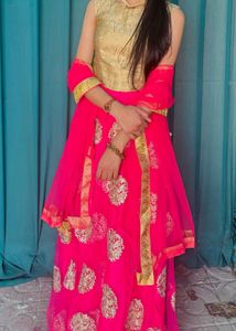 Gorgeous Pink Lehenga Choli