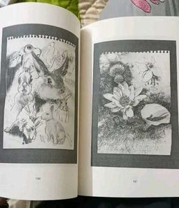 Hidden Pictures