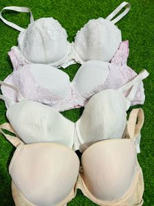 38 Size Padded Collection