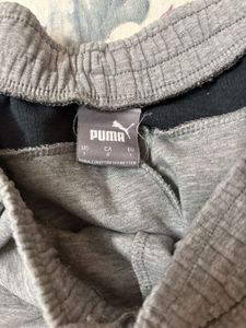 Puma Gray Shorts