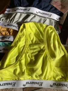 Evara Panties
