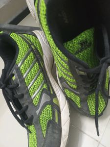 Running Shoes ( Parrot Green And Ash Colour Combo)