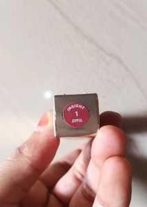 Insight cosmetics non transfer proof lipstick